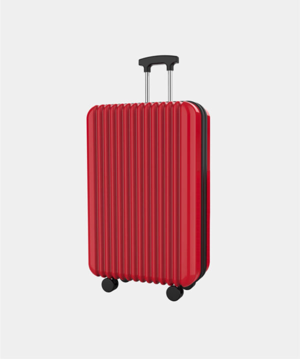Travel Bag - Hình ảnh 3
